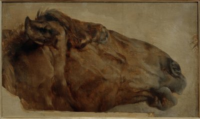 Horse Study. Head in Profile Facing Right by Adolph Menzel